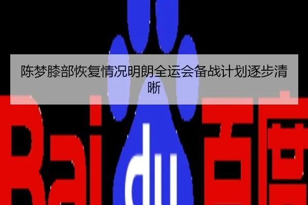陈梦膝部恢复情况明朗全运会备战计划逐步清晰
